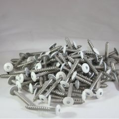 HardiePanel Screw A2 Stainless Steel 38mm